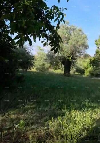 Prodaja stancije na top lokaciji, Rovinj! - Zgrada..
