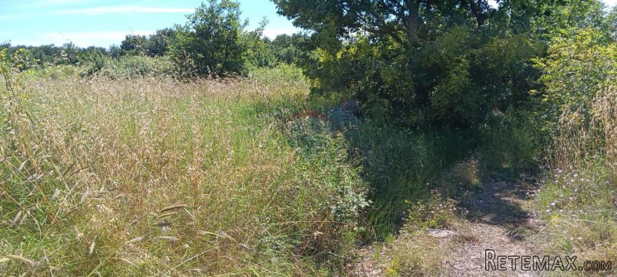 Istra,Gradina,Sveti Lovreč,poljoprivredno zemljište