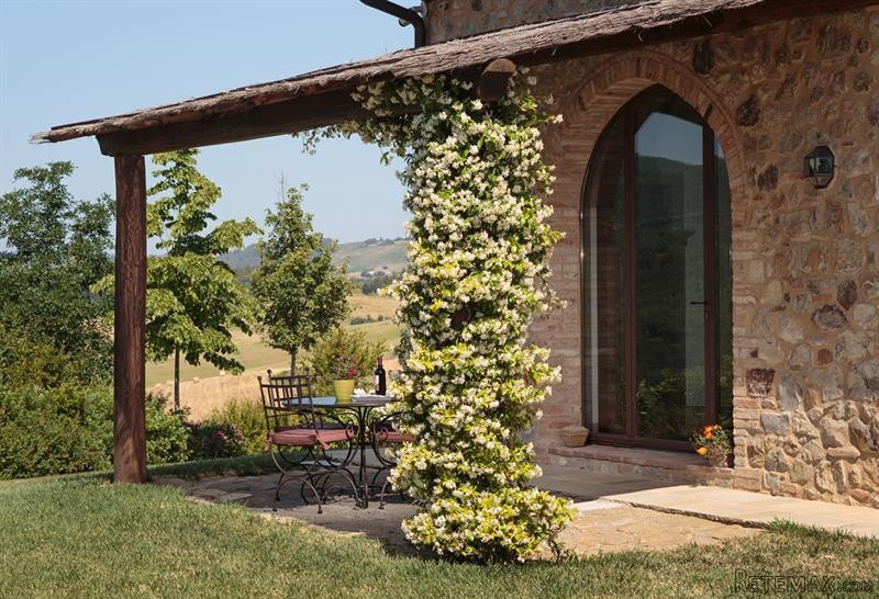 9 bedroom Farm House For Sale: Casole.. - 2