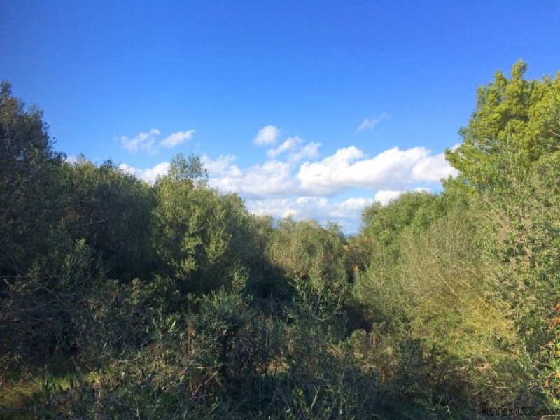Attractive Plot In Bellavista