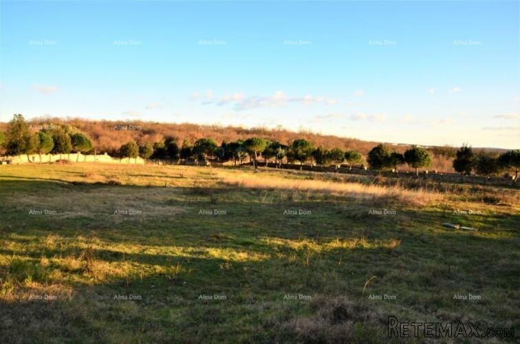 Kanfanar, imanje s pogledom na more – 6.038 m² građevinskog.. - 5