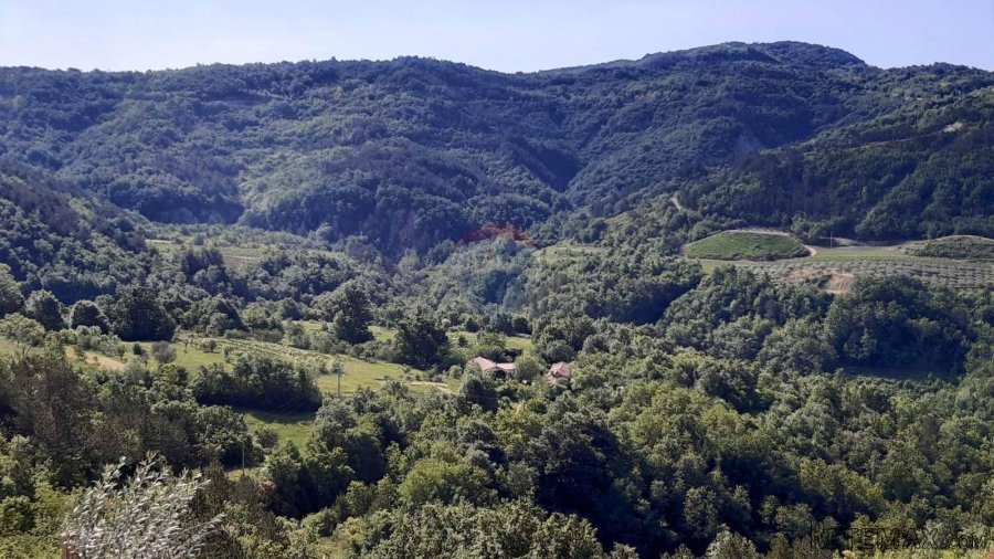 Istra, Draguć, starina za adaptaciju sa poljoprivrednim zeml - 6
