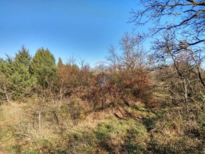 Istra, Vodnjan, Sv.Kirin- poljoprivredno zemljište 21027m2 - 2