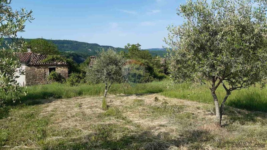 Istra, Draguć okolica, starina za adaptaciju sa poljoprivred - 4