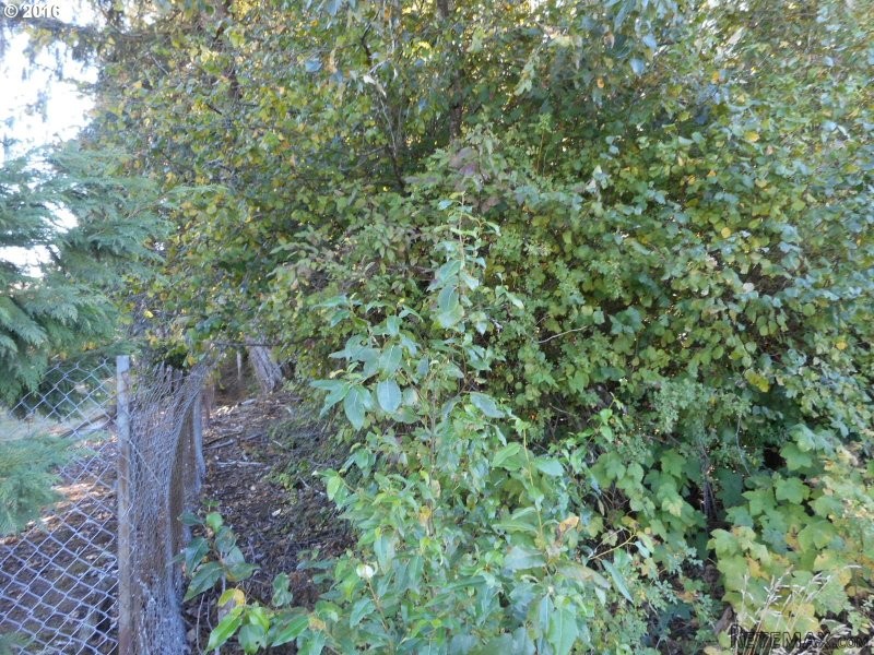 523 NW 199 ST, Ridgefield, Washington..