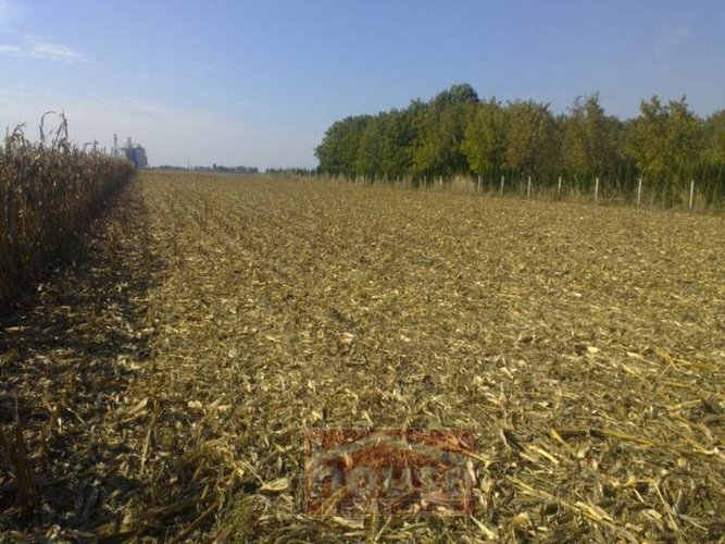 Građevinsko Zemljište,Čenej - 2