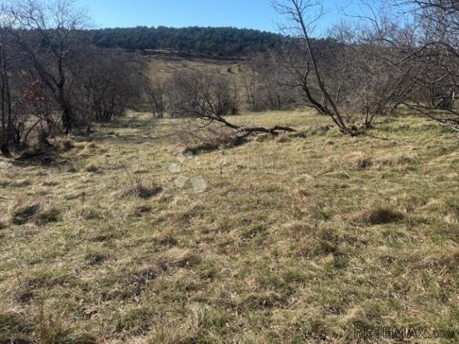Kukuljanovo, teren u gospodarskoj zoni - 2