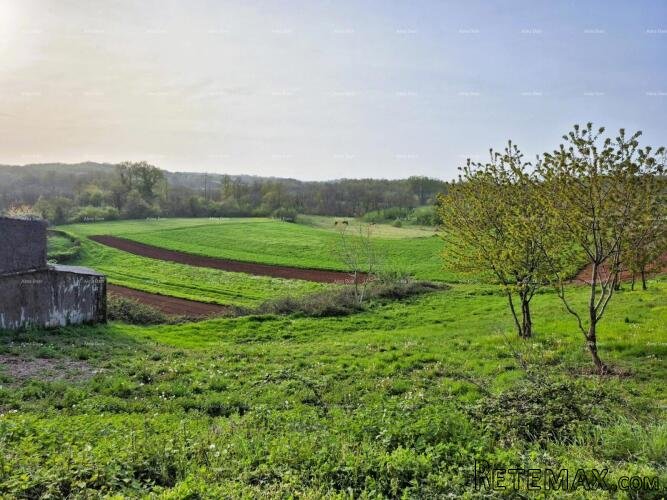 Građevinsko zemljište 1.730 m² – Barban - 3