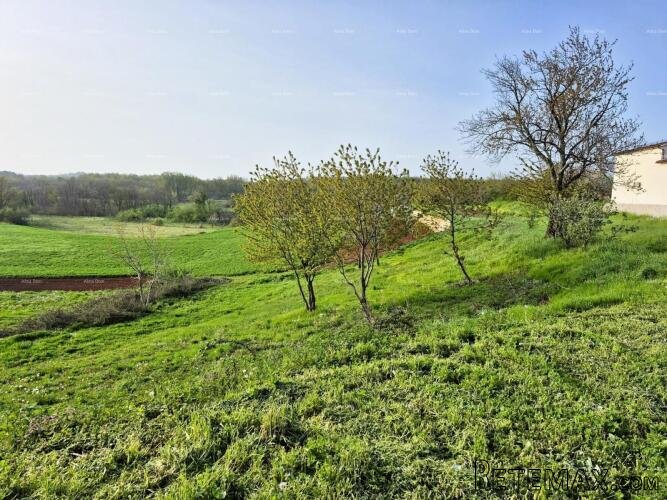 Građevinsko zemljište 1.730 m² – Barban - 4