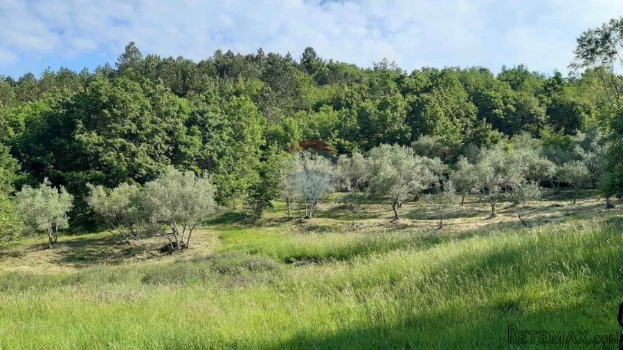 Istra, Draguć starina za adaptaciju sa poljoprivrednim zemlj - 5