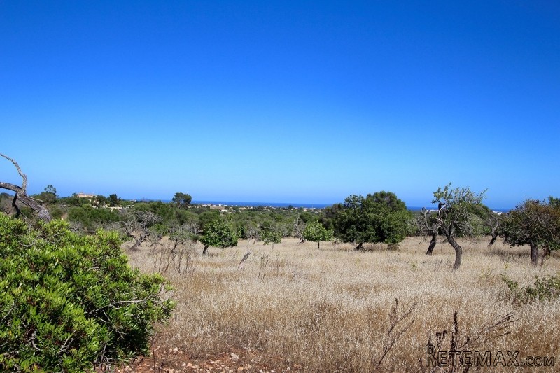 Nice plot in quite location with sea..