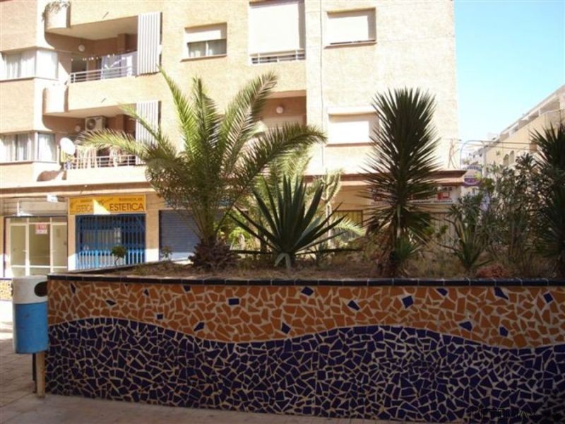 3 Bedrooms - Apartment - Alicante - For.. - 2