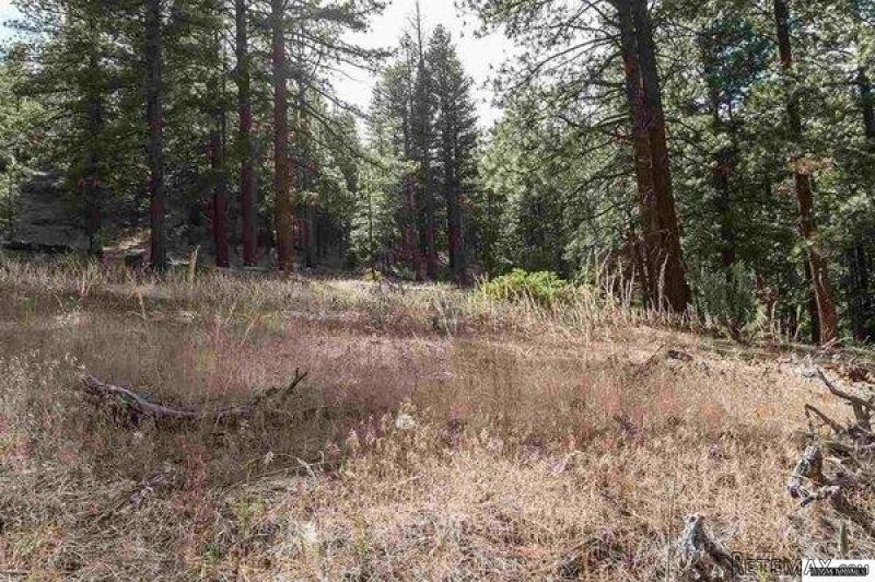 Land For Sale: Washoe Valley, Nevada - 2