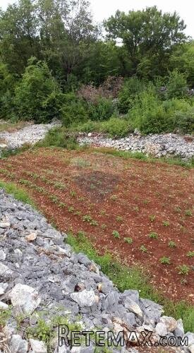 Otok Krk, Kras - građevinsko zemljište 1620m2 - 3
