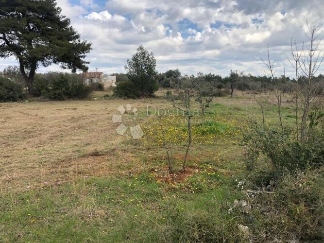Poljoprivredno zemljište 900m od mora - 3