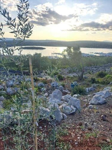 Vaš kutak mediterana – maslinik s pogledom na more