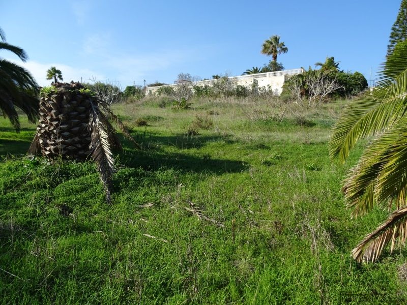 Urban Plot With Sea View In Praia Da.. - 2