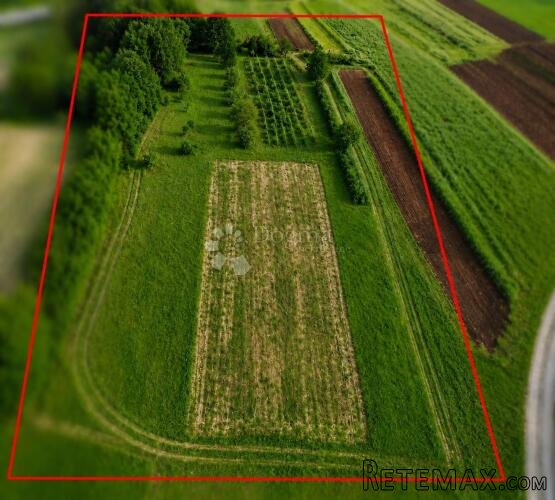 Građevinska parcela pravilnog oblika – 625 m² - 3