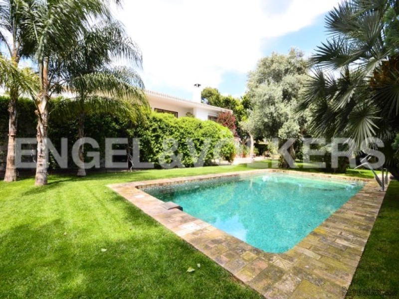 Quality Villa With Beautiful Garden In.. - 2