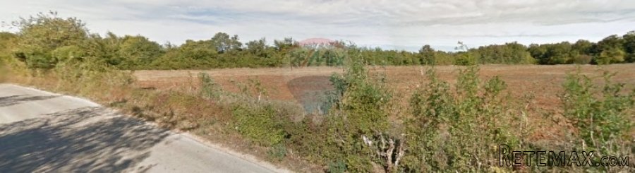 Istra,Marčana zemljište 10 013m2 - 2