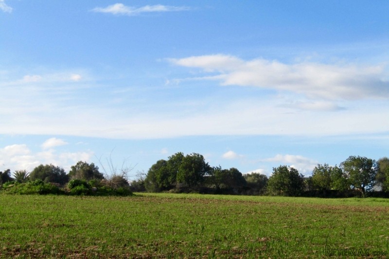 Nice and quiet plot with views to the.. - 2