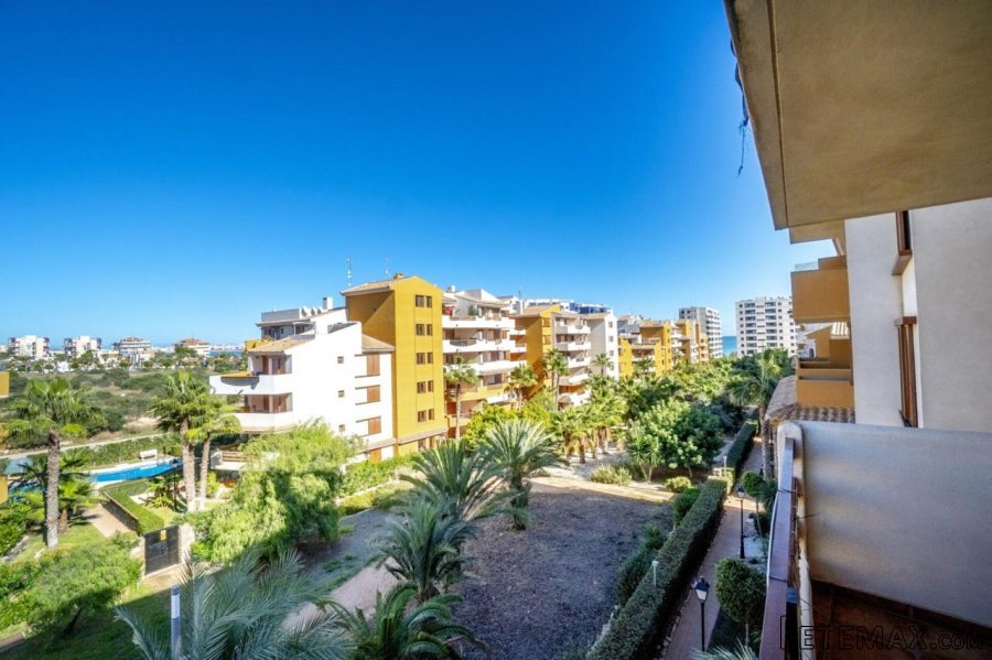 Punta Prima es una urbanización junto al mar, donde se..