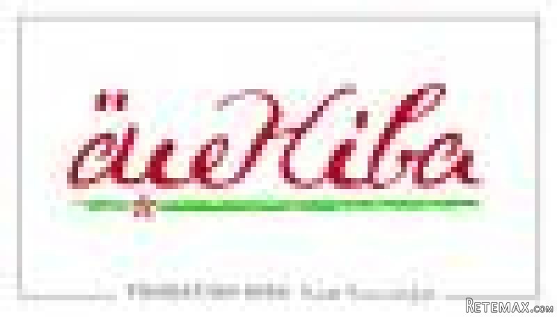 Assistante de Direction Bilingue