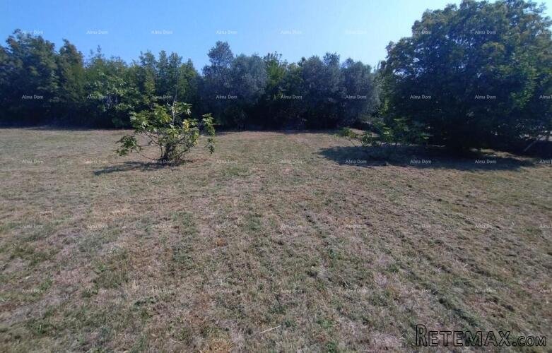 Rakalj, kamena kuća s 1.920 m² građevinskog zemljišta - 5