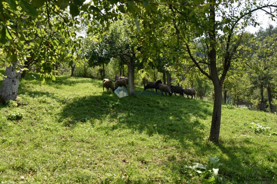 Zabok, Andraševec, seosko imanje, voćnjak, 1 x gradilišta - 5