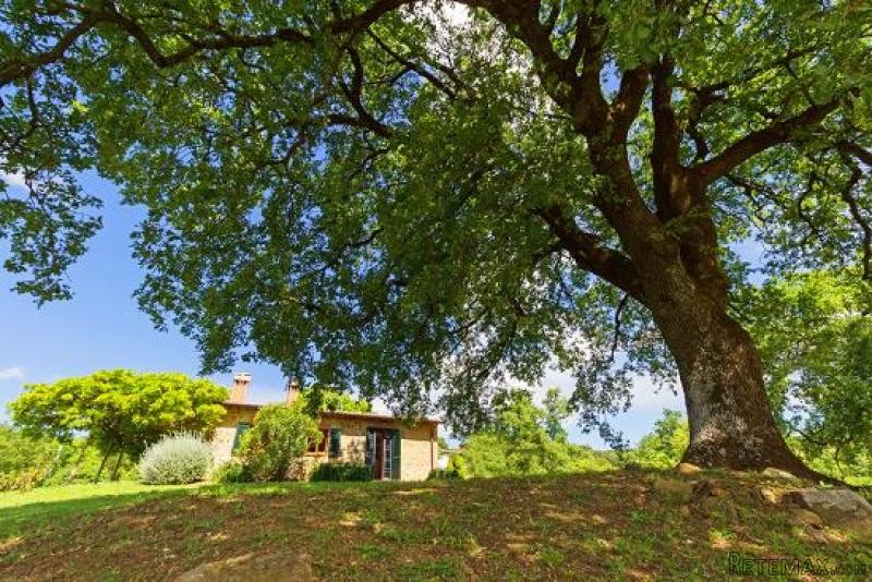 House - Tuscany - For Sale - 2