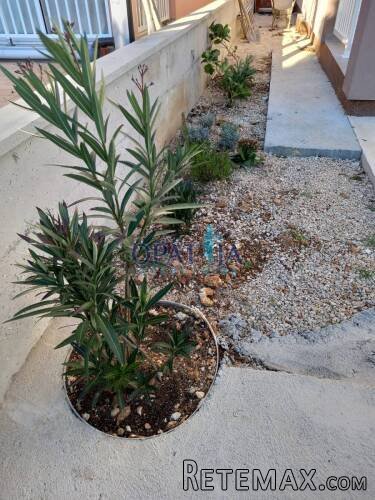 Vir, kuca sa dva apartmana na mirnoj lokaciji - 8