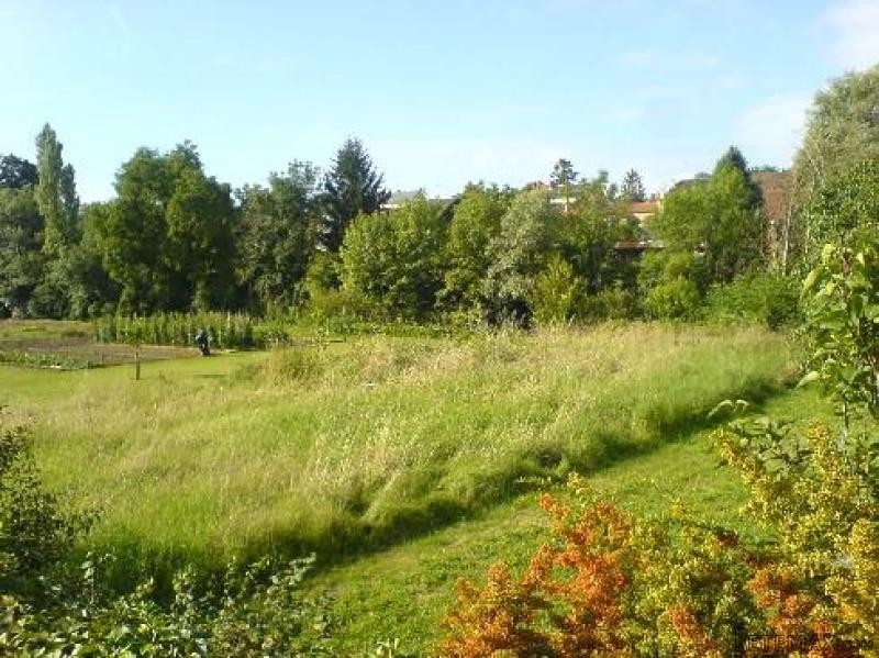 Riverside garden in the centre of.. - 2