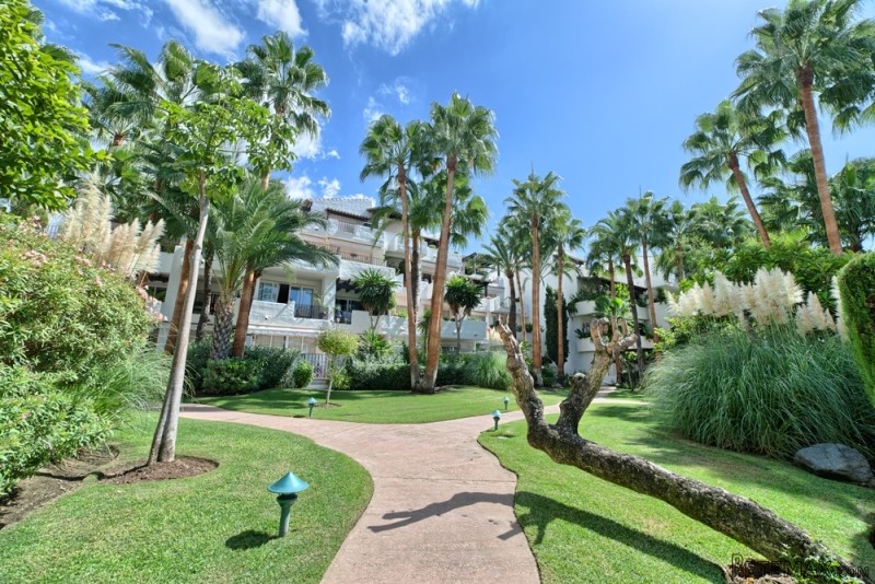 PENTHOUSE FOR SALE PUENTE ROMANO - 2