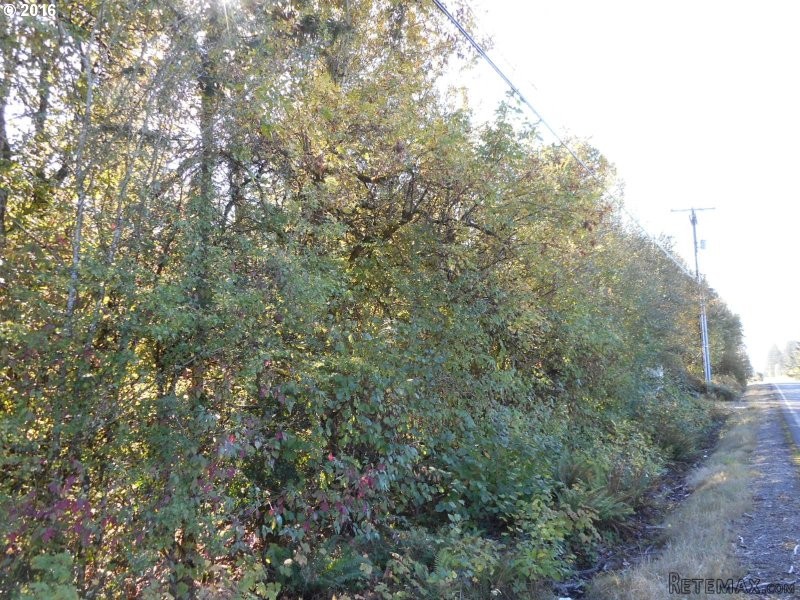 523 NW 199 ST, Ridgefield, Washington.. - 2