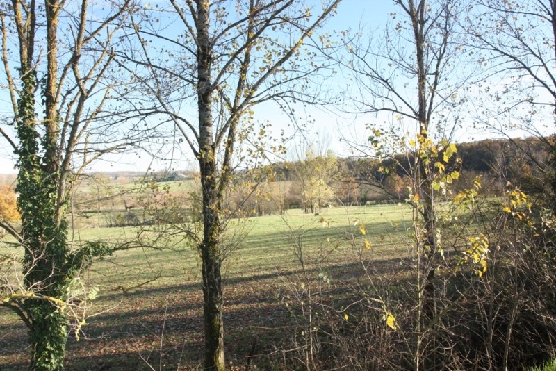 Equestrian Property With Beautiful.. - 2