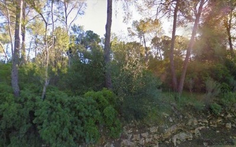 plot for sale in costa de la calma