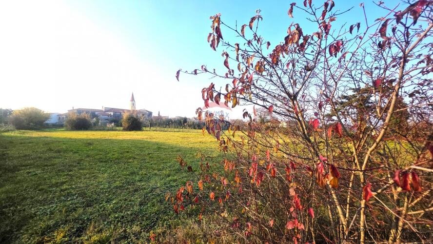 Istra,Brtonigla-Parcela pravilnog oblika u centru - 3
