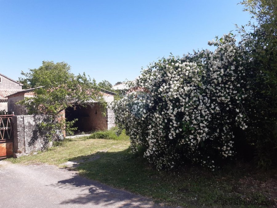 Istra, Sveti Petar u Šumi kamena kuća sa dvorištem - 4