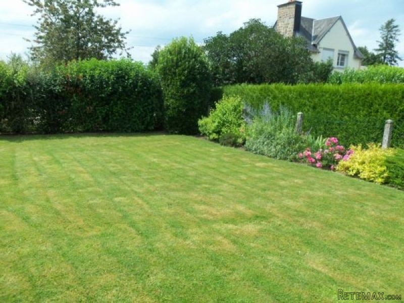 Detached House with Neat Garden - 2