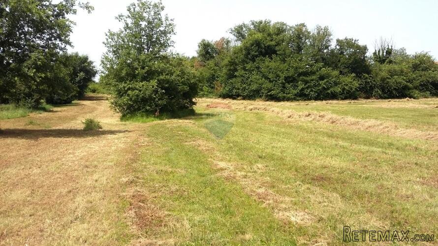 Istra, Umag - rubno građevinsko zemljište, 2 km od mora - 2