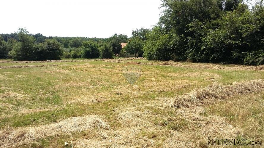 Istra, Umag - rubno građevinsko zemljište, 2 km od mora - 3