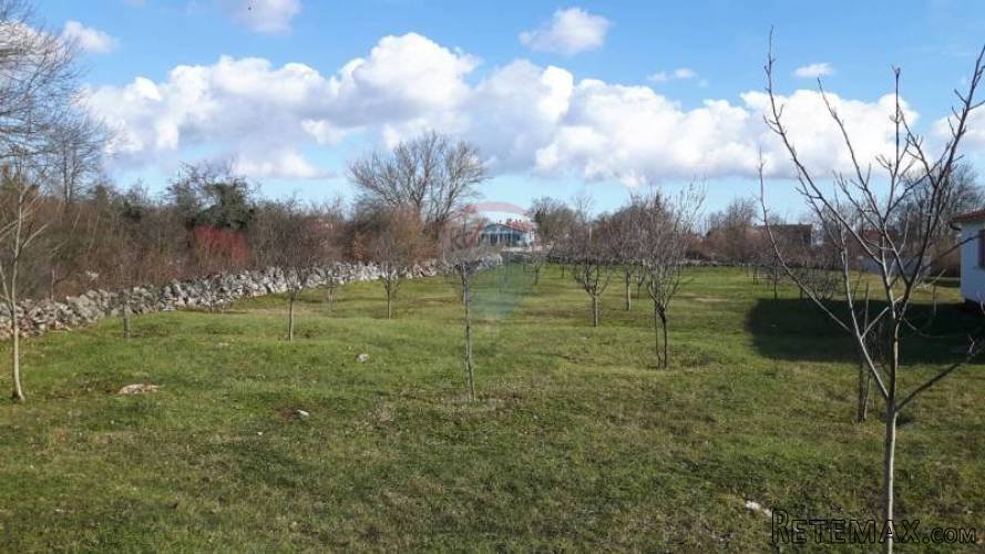 ISTRA, BARBAN : GRAĐEVINSKI TEREN 1165 m2 U ORIHIMA - 2