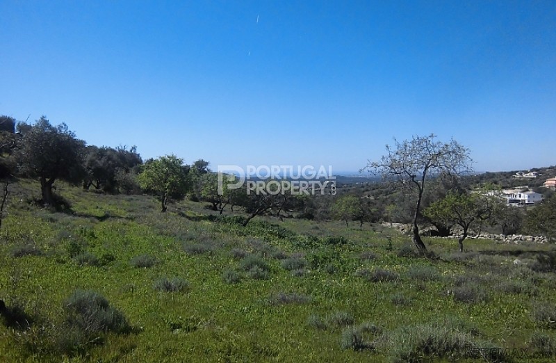 22990m2 Plot With Superb Views Of.. - 2