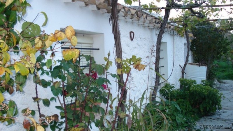 Cortijo / Country House in Albox - 2
