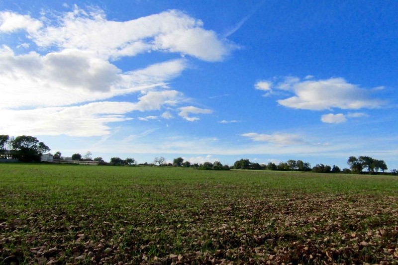 Nice and quiet plot with views to the..