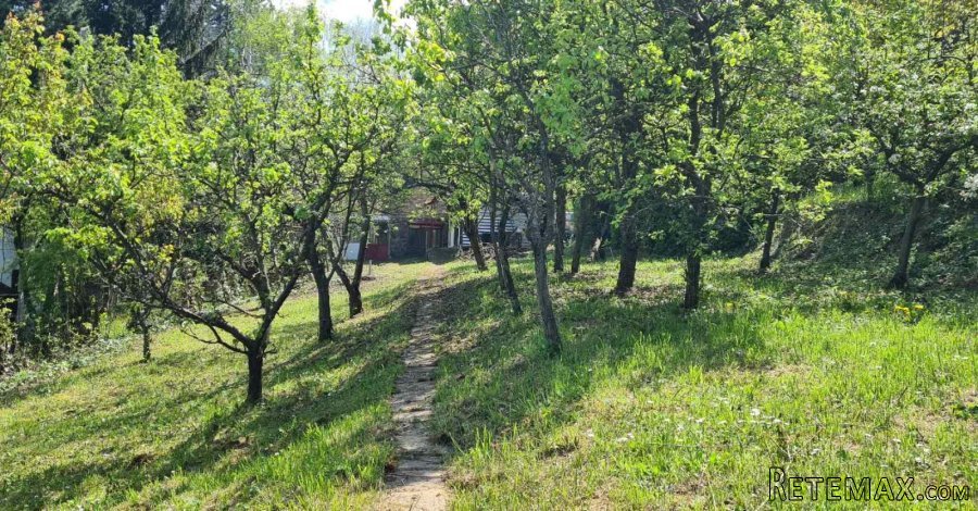 Fruska Gora-Popovica,prodajem vikendicu - 13