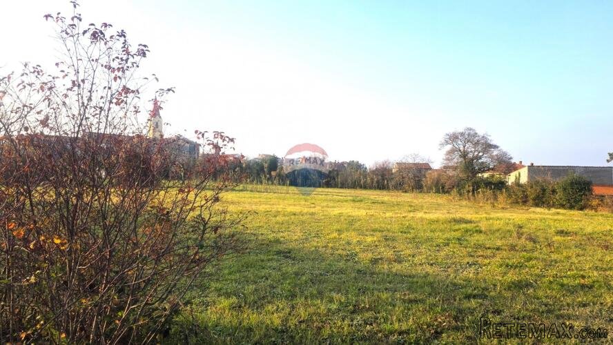 Istra,Brtonigla-Zemljište u centru - 3