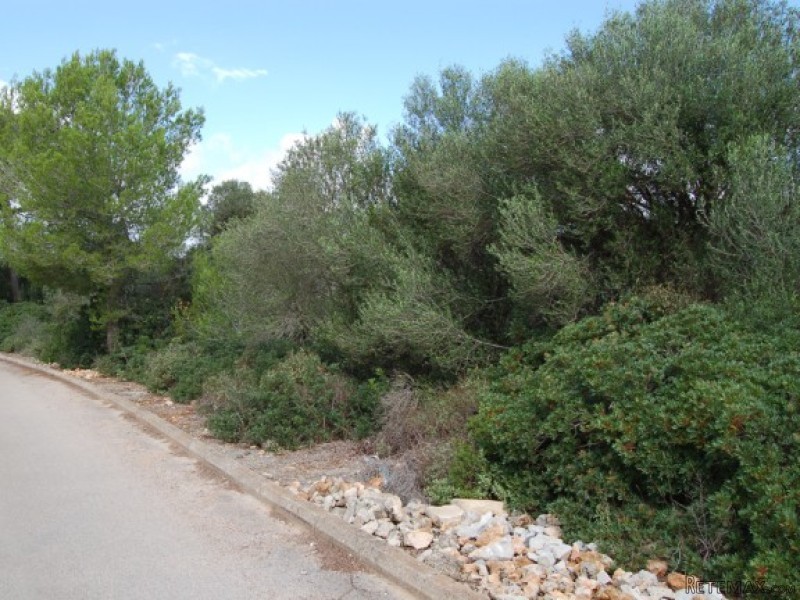 Building Plot In Peaceful Location In.. - 2