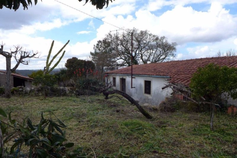 Traditional 2 bedroom Stone House Ansiao - 2