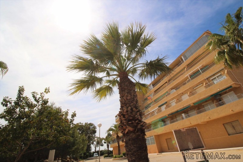 1 Bedroom - Apartment - Costa Blanca..